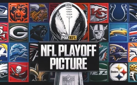 2025 NFL Playoff Bracket and Schedule Updated Post-Week 17