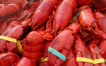 New England Heist: Thieves Steal $400K in Lobster, Oysters, and Crab