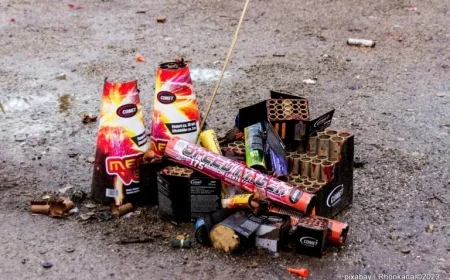 Ban on Fireworks Near Protected Buildings; Clean Up Waste