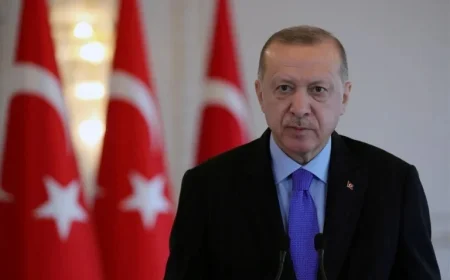 Turkiye, Niger Presidents Discuss Bilateral Ties and Regional Developments