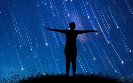 Zodiac Forecast 2024: What Awaits Your Sign