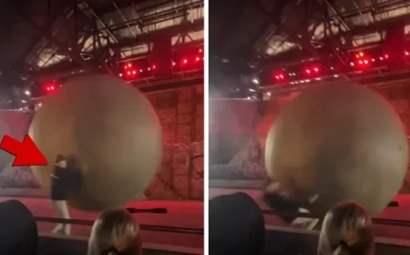 Disney World Employee Struck by Giant Boulder in Captured Footage