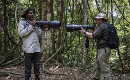 Rob & Romesh Tackle the Jungle: Sky Max HD Air Date & Details