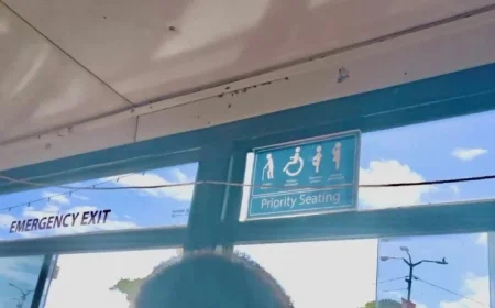 Authorities Silent on Cockroach Infestation in Suva-Nausori Bus