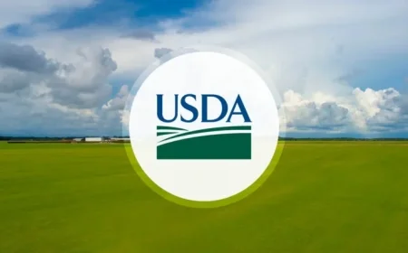 USDA Sets Payment Rates for Farmer Bridge Assistance Program
