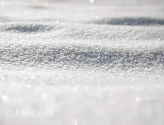 Winter Weather Advisory Issued for 7 Southeast Michigan Counties Due to Snow