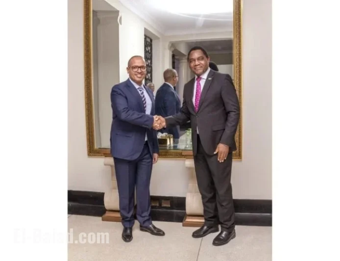 Amsons Group and Zambian Firm Partner for $900M Tanzania Power Projects