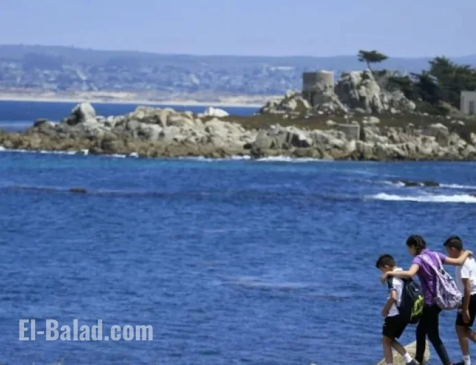 Swimmer Missing in Monterey Bay Sparks Shark Attack Fears
