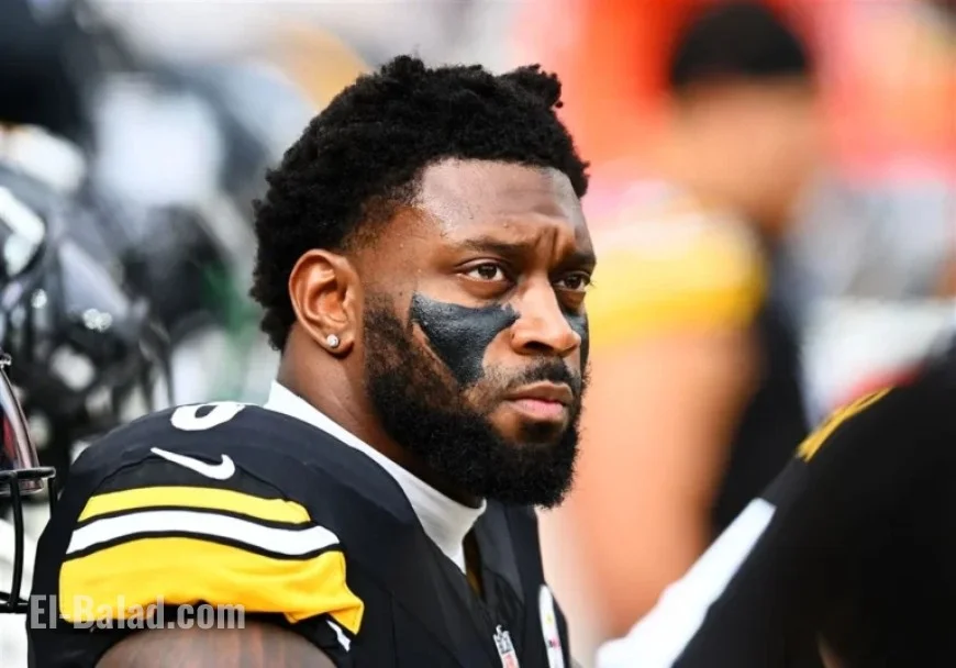 Patrick Queen Questions Steelers’ Defensive Schemes, Joining a Growing Chorus