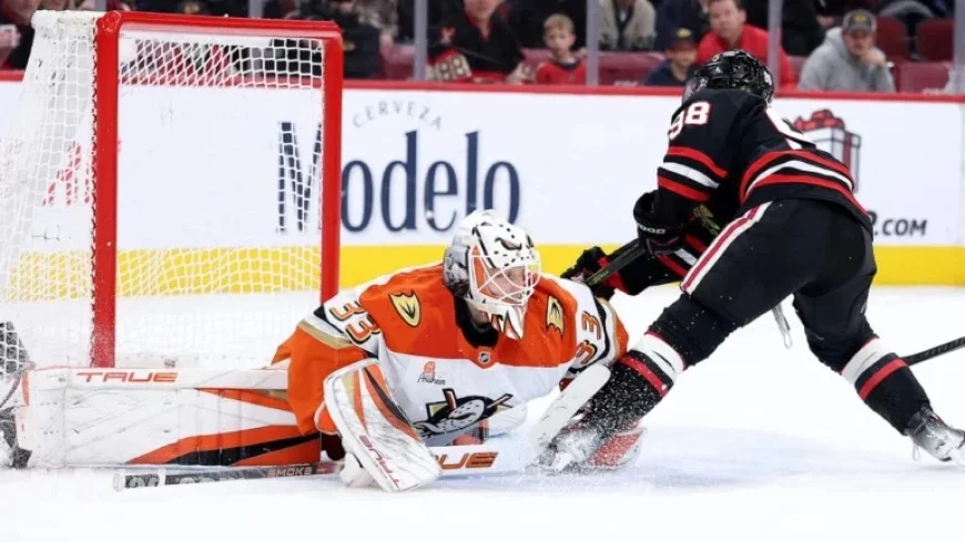 Bedard Scores with Precision