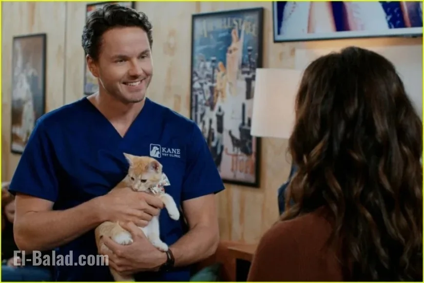 Erin Cahill & Paul Campbell Connect with 15 Cats on ‘Christmas at the Catnip Café’