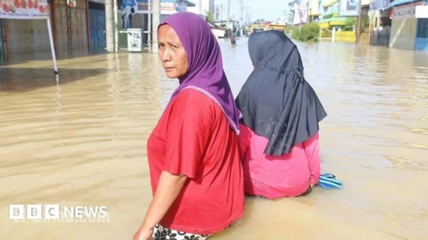 Indonesia Floods: Death Toll Hits 442 Amid Urgent Search for Food, Water