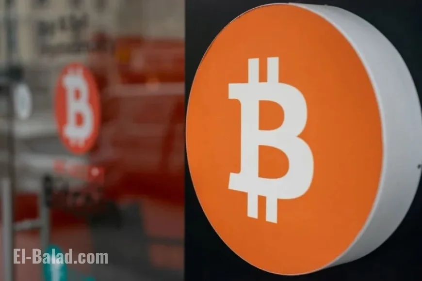 Bitcoin Defies Trends: Low Volatility Amidst Market Drawdown