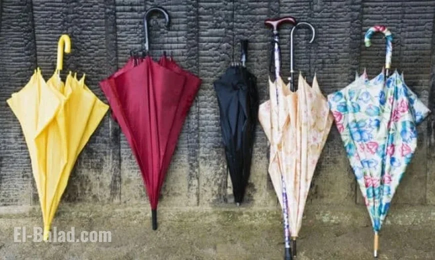 Mississippi Weather Forecast for Monday, December 1: What to Expect