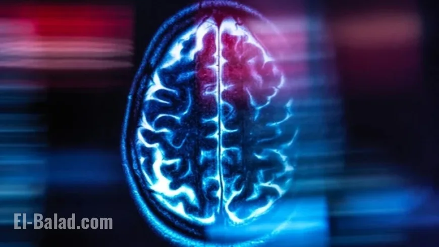 Semaglutide Ineffective Against Alzheimer’s, Studies Reveal