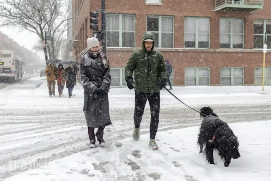 Chicago Residents Embrace Snowiest November Day on Record