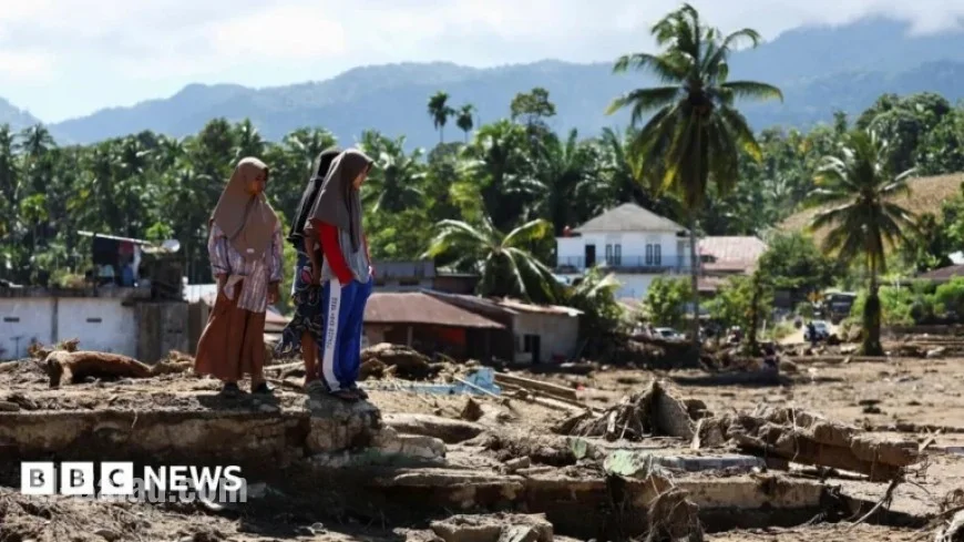Indonesia Floods Claim Over 500 Lives