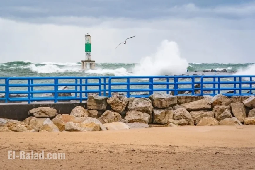 Winter Storm Alert: Up to 10 Inches of Snow in 3 Michigan Counties