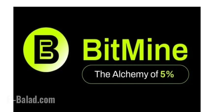 BitMine Immersion Reports $12.1 Billion in Crypto, Cash; ETH at 3.73M Tokens