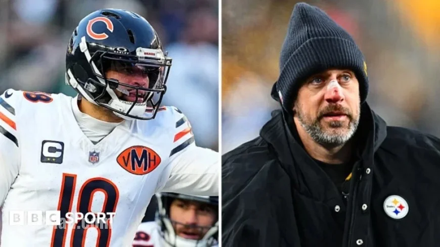 Panthers Shock Rams; Bears Dominate NFC in Week 13 NFL Results