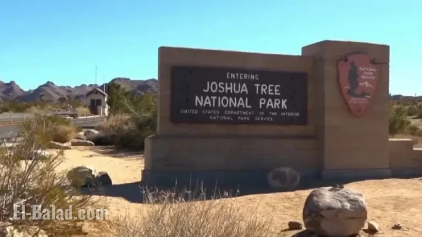 Thanksgiving Weekend Draws Record Visitors to Joshua Tree National Park