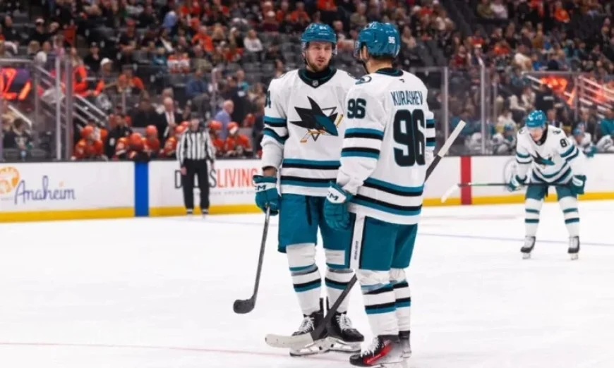 Why Did Sharks Choose Regenda Over Other Barracuda Prospects?
