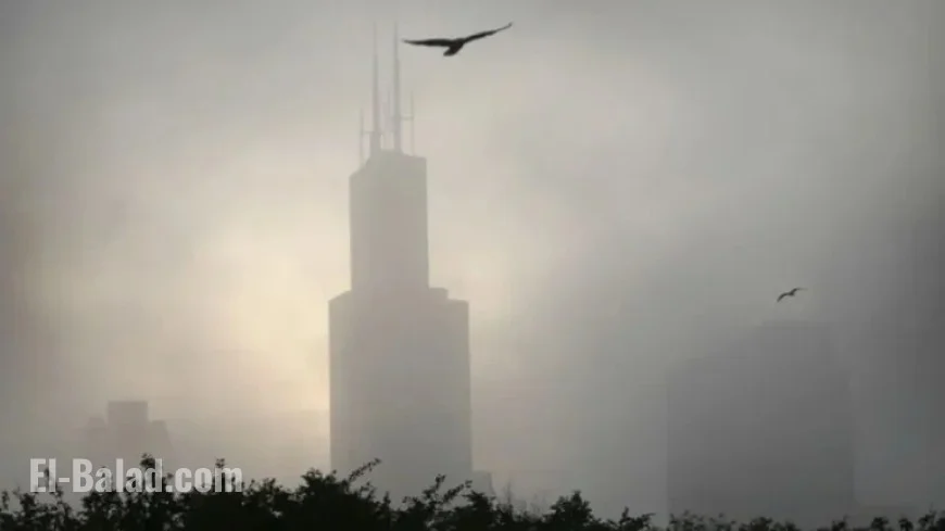 Freezing Fog in Chicago Causes Treacherous Morning Commute
