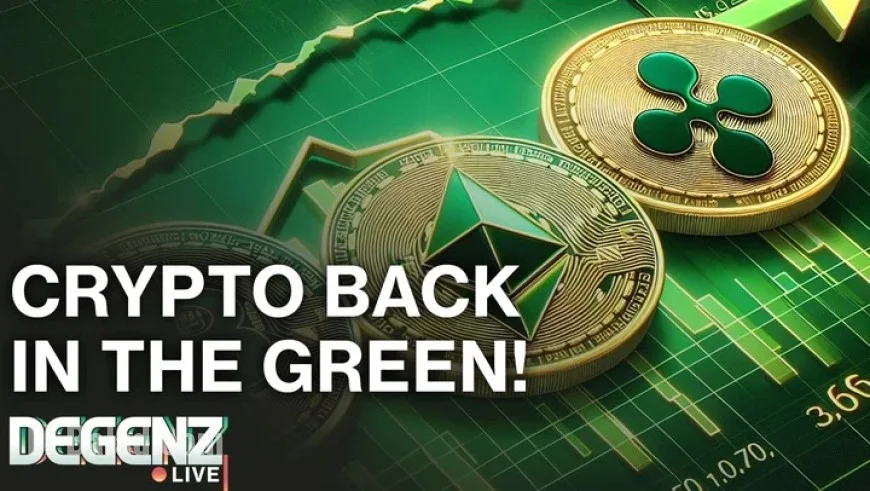 MON Crypto Launches with $3.9B FDV, Marking Green Surge