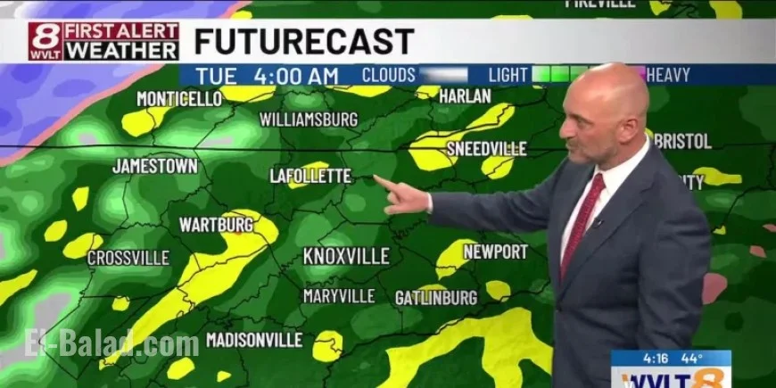 Cold Rain and Strong Winds Expected Tonight