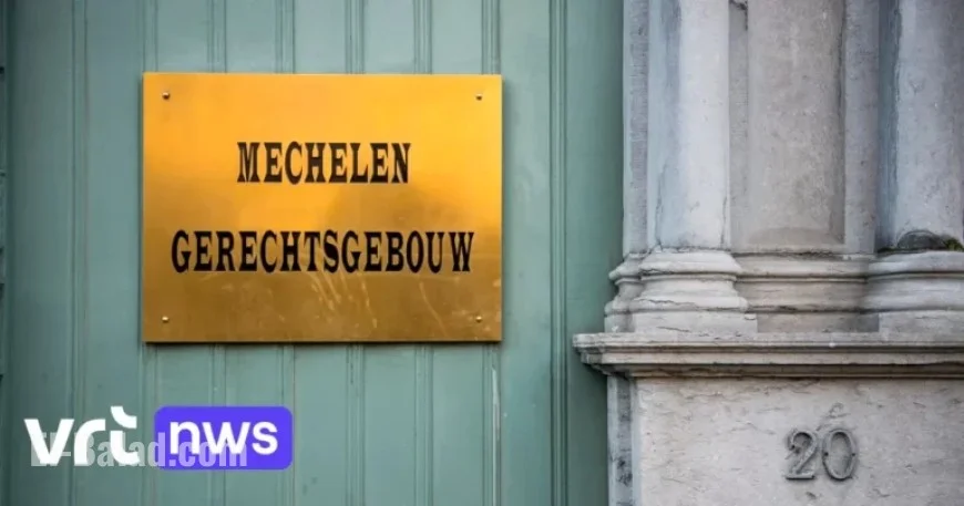 Driver Receives Suspended Sentence and Driving Ban After Fatal Cyclist Accident in Itegem