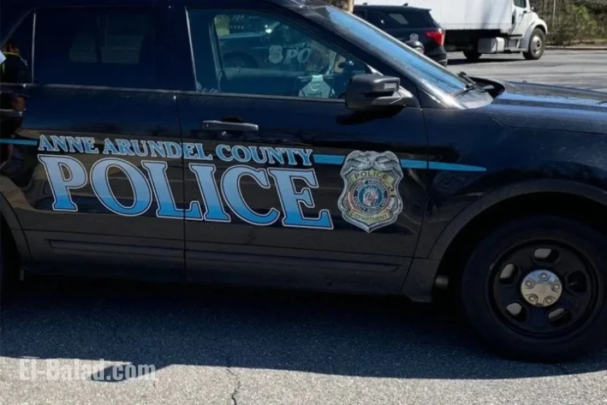 Suspect on Crutches Aids Group in Anne Arundel Car Theft, Police Report