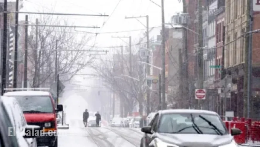 Scotiabank Surpasses Profit Estimates with Strong Capital Markets, Wealth Management