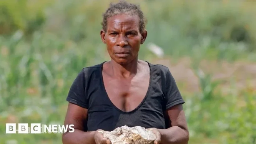 Africa Faces Challenge in Tackling Devastating Toxic Spill Tied to China