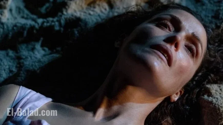 2025 New York Film Critics Circle Awards: Complete Winners List