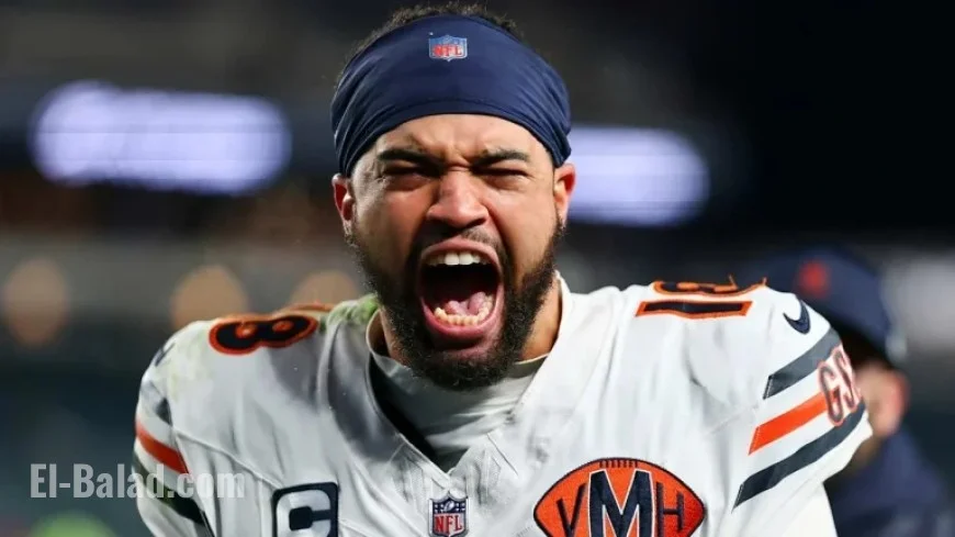 Bears Climb Higher as Lions Drop from Top 10 Rankings