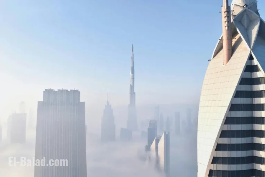 UAE Gambling License Predicted to Be Most Valuable by 2026