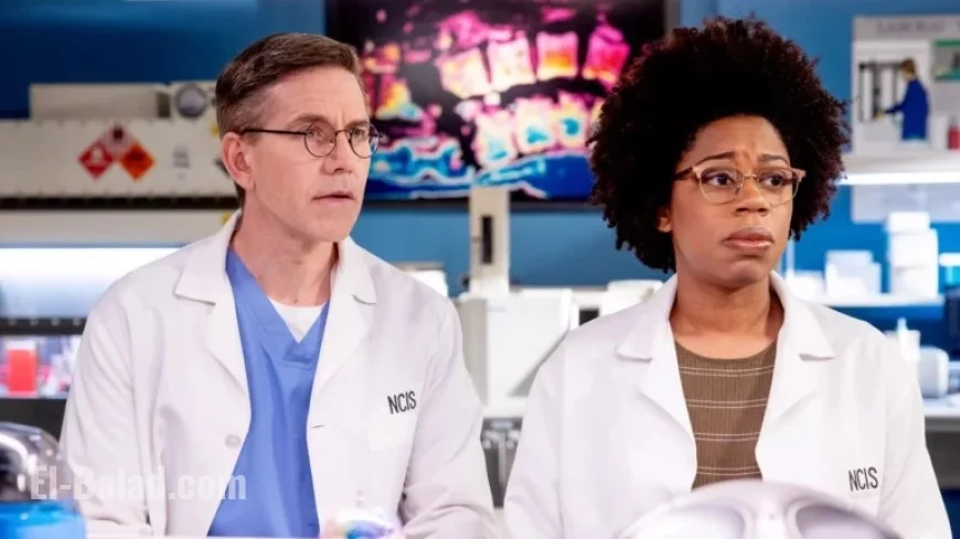 No NCIS Tonight: Release Dates for New Flagship, Origins, Sydney Episodes