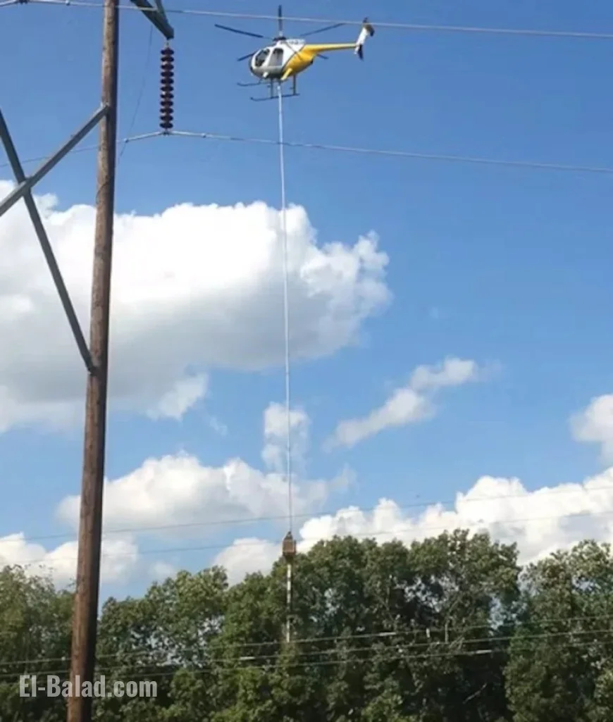 FirstEnergy Profits from Tree Trimming as It Raises Northeast Ohio Rates