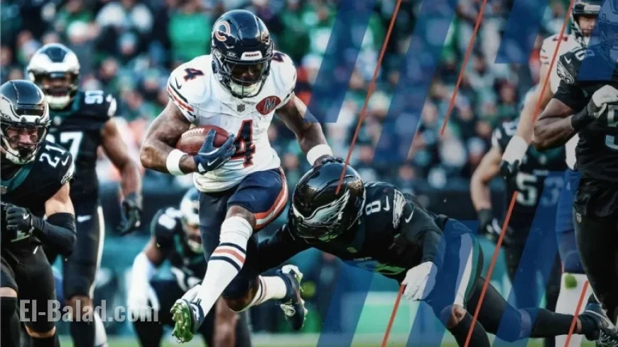 Bears Climb as Ravens Drop in NFL Week 14 Rankings