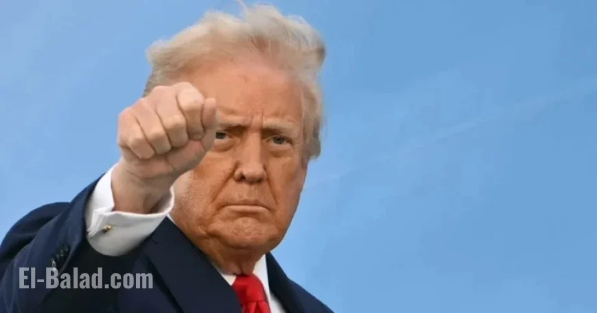 Donald Trump Discusses ‘Playing Cards’ for Ukraine Peace: Our Analysis