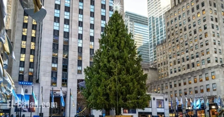Watch the 2025 Rockefeller Center Christmas Tree Lighting: Performers, Time, Channel