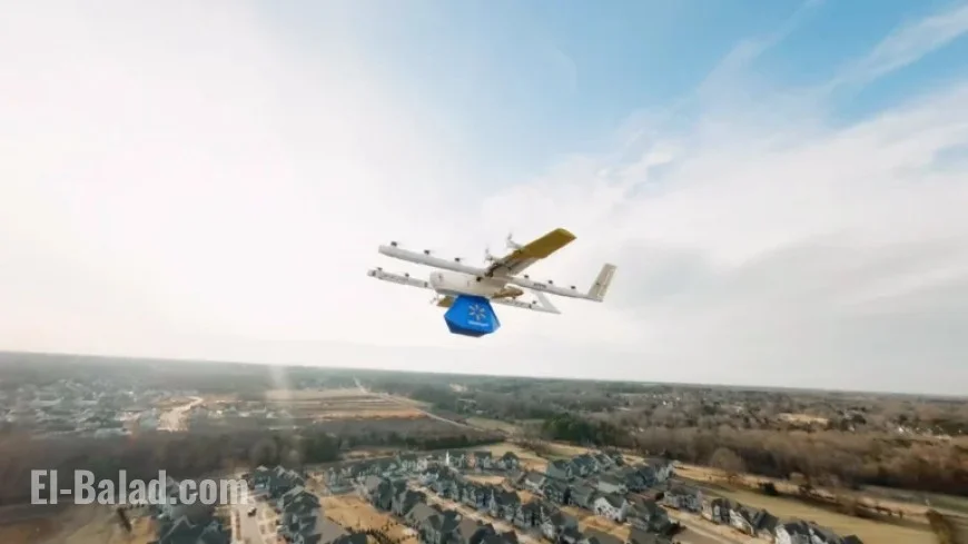 Walmart Expands Drone Delivery: First Look Revealed
