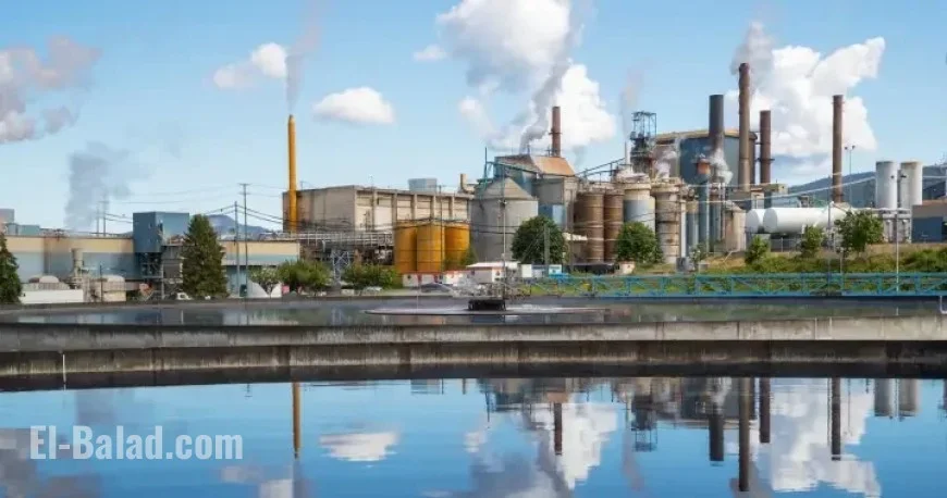 B.C. Pulp Mill Closure Leaves 350 Employees Jobless