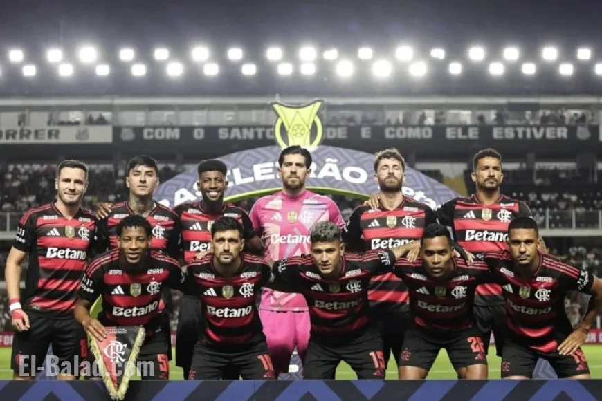 Download the Flamengo 2025 Brazilian Championship Winner Poster