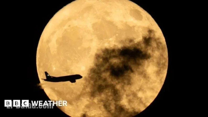 Spot December’s Last 2025 Supermoon: Cold Moon Viewing Guide