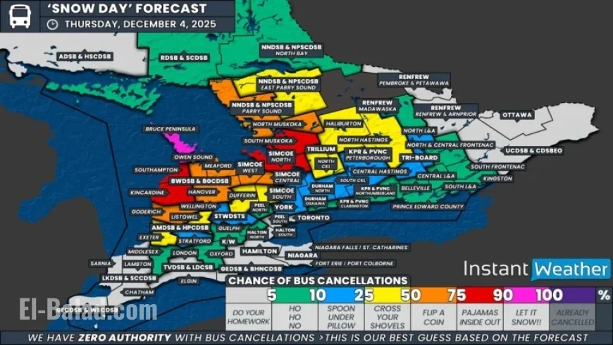 Snow Squalls May Cancel School Buses in Southern Ontario Snowbelt Thursday