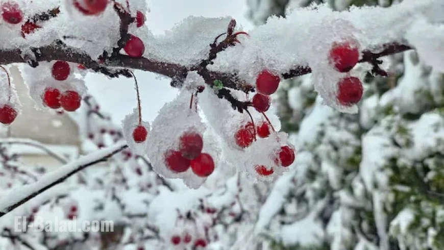 Frigid Winter Weather Approaches the Maritimes