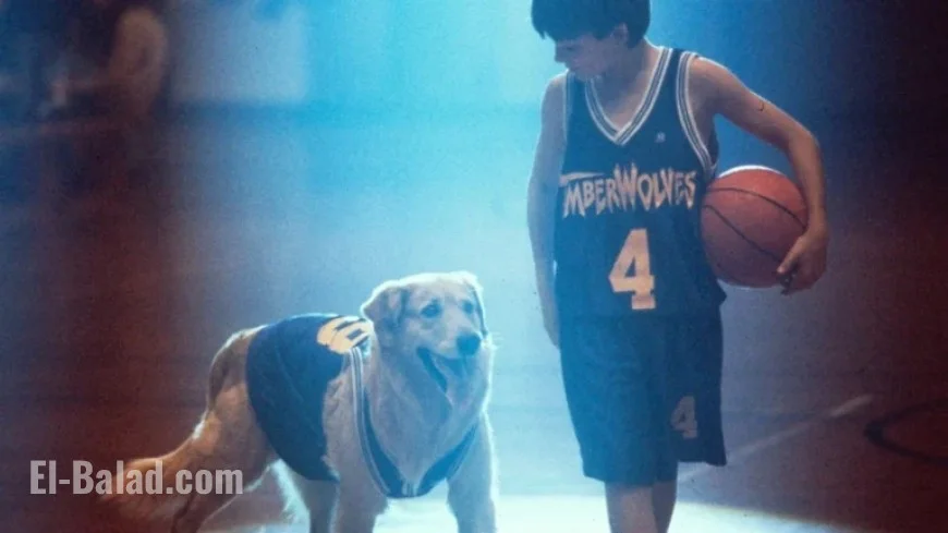 Missouri Redistricting Revives ‘Air Bud’ Legacy: NPR