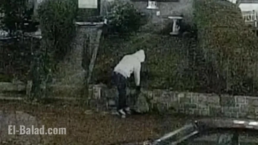 FBI Arrests Suspect in DC Pipe Bomber Case, Sources Report