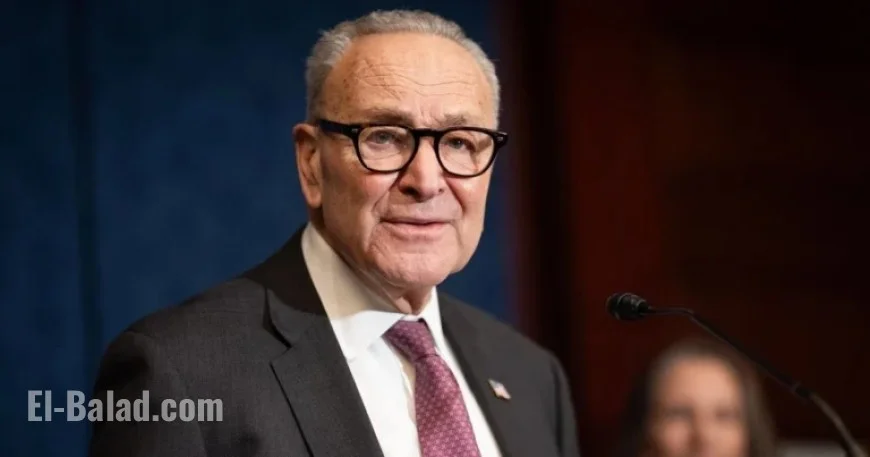 Democrats to Propose 3-Year Extension of Health Care Tax Credits, Schumer Says